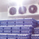Egg-cold-room-manufacturers