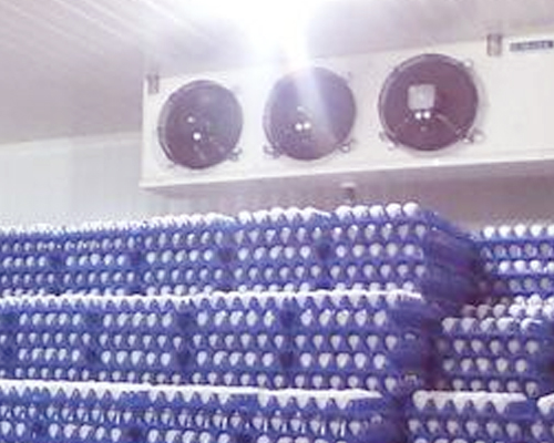 Egg cold room manufacturers